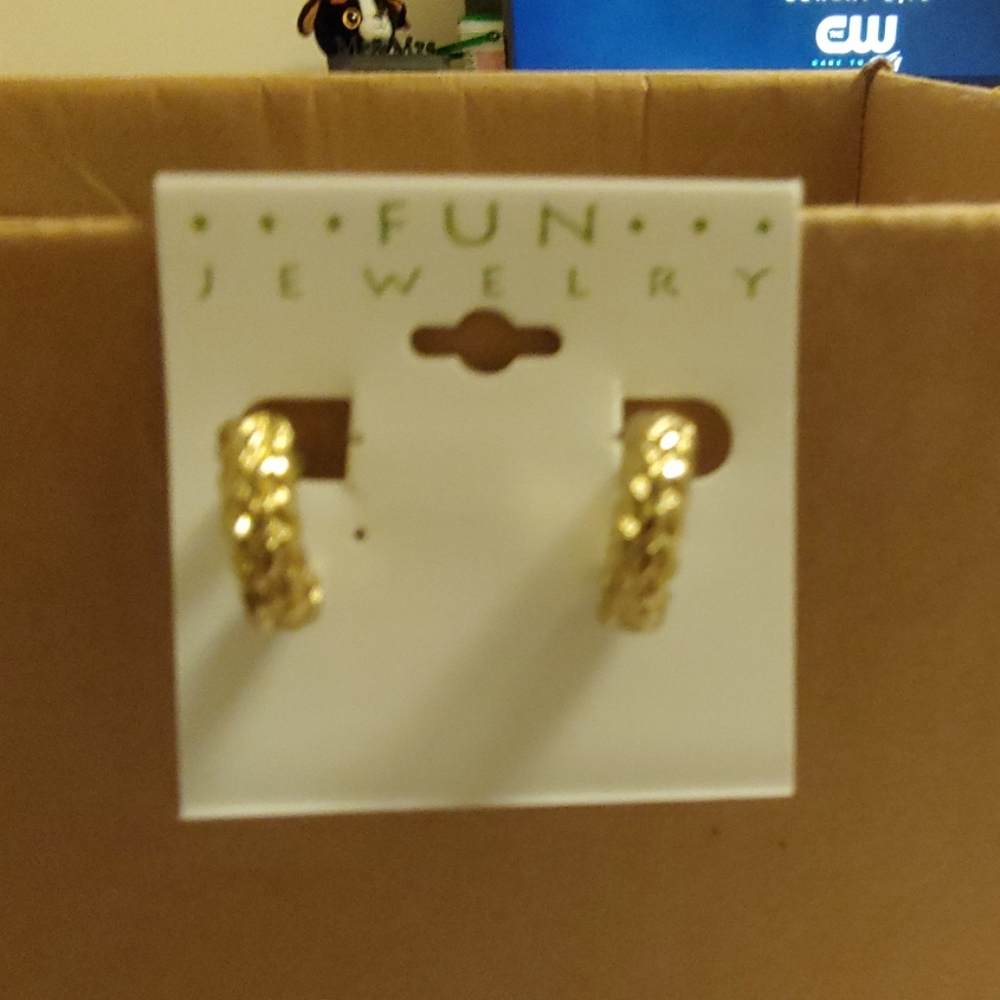 Earrings